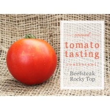 Tomato - Multiple Varieties and Sizes